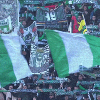 Fans Angels GIF by AS Saint-Étienne