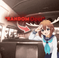 Noko GIF