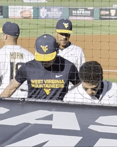 West Virginia University Wvu GIF