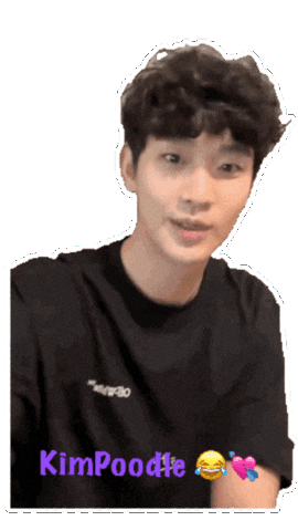 Kimsoohyun Knockoff Sticker