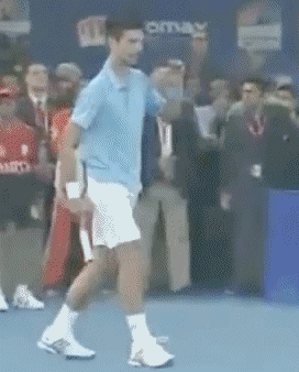 Novak Djokovic GIF - Find & Share on GIPHY