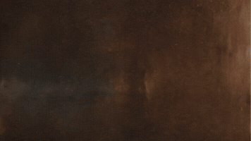 Prevail United States GIF