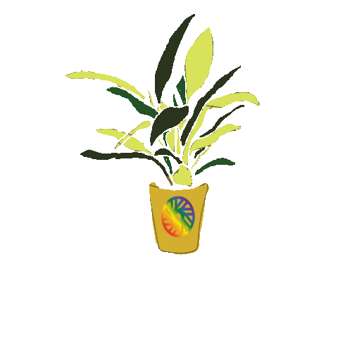 Sesh Coworking Sticker