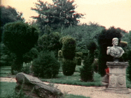 George Harrison Any Road GIF