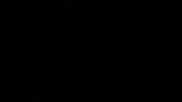 Prince Of Persia GIF