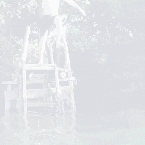 Summer Swimming GIF by Mindbox GmbH