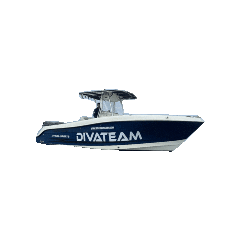 divateamfishing Sticker