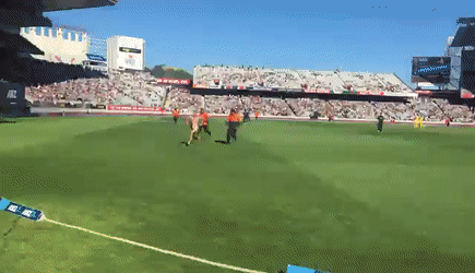 giphy.gif?cid=790b761147481945af65be5ab03616d20338c97d2d64bb27&rid=giphy.gif