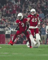 Excited Lets Go GIF by Arizona Cardinals