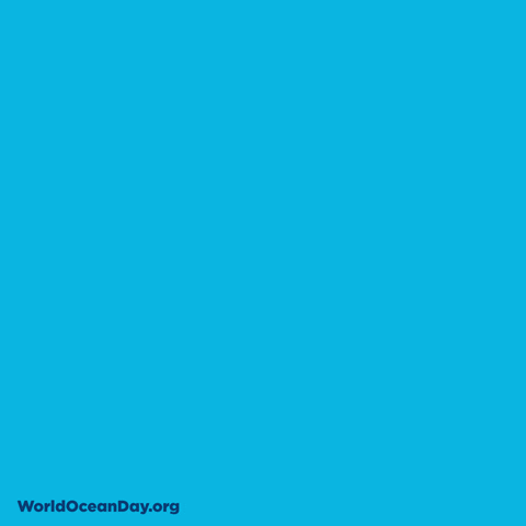 Oceansday Ocean Week GIF by World Ocean Day - Find & Share on GIPHY