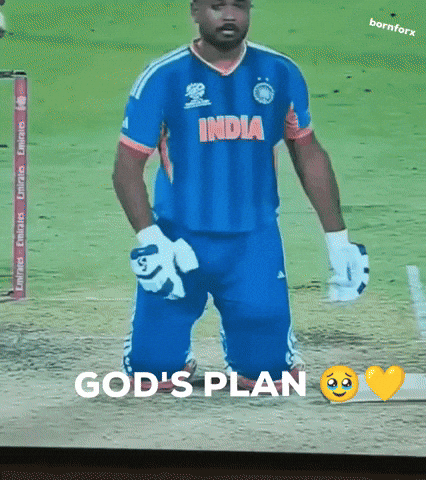 Indian Cricket India GIF