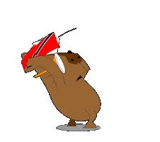 Flag Carnival Sticker by pothounds