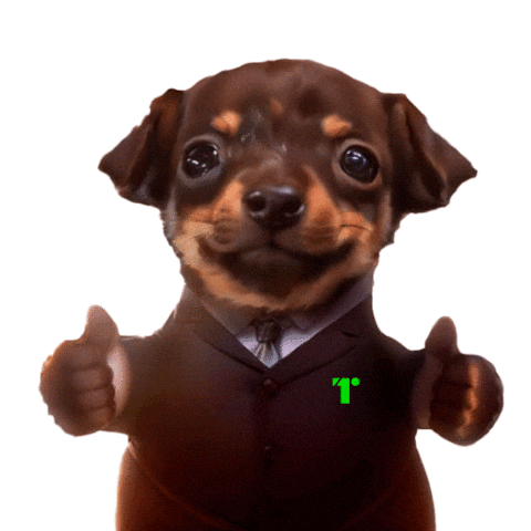 T1 Sticker by TALLER 1 MX