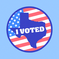 Voting Lone Star GIF by #GoVote