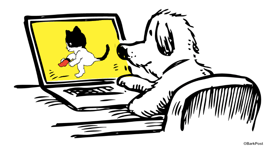 Computer Cartoon Porn - Dog Love GIF by The BarkPost - Find & Share on GIPHY