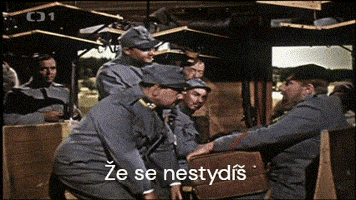 Poslušně Hlásím GIF