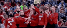 Volleyball Wisconsin GIF by NCAA Championships