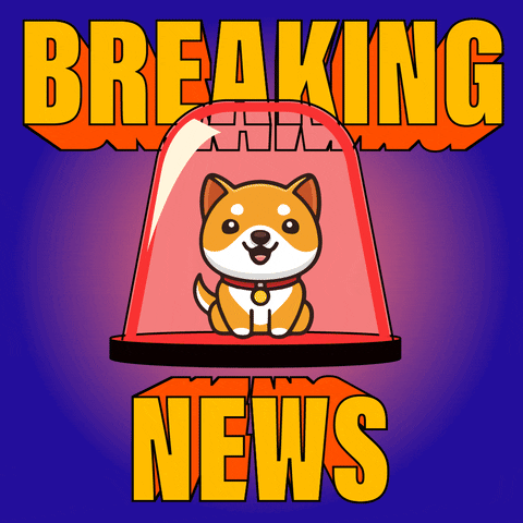 News Money GIF by Baby Doge Coin