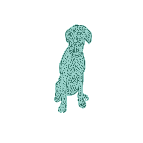 Sticker by Dogwalkers