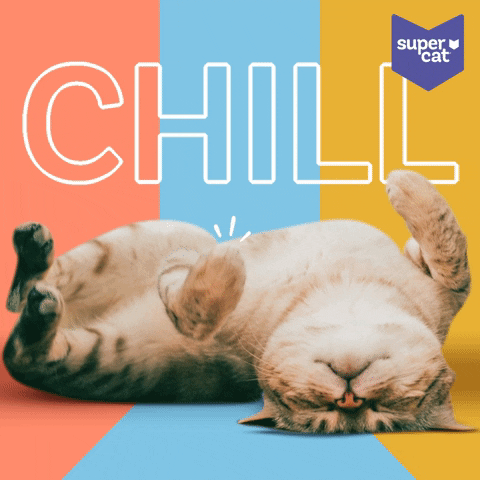supercat_peru GIF