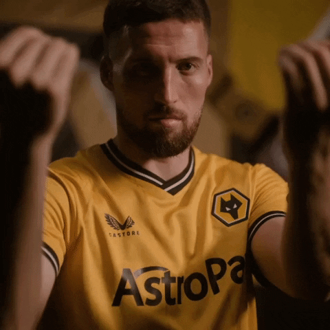 Premier League Yes GIF by Wolves