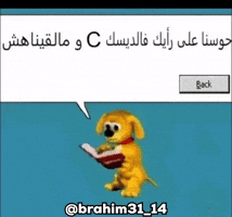 Algeria Dzair GIF