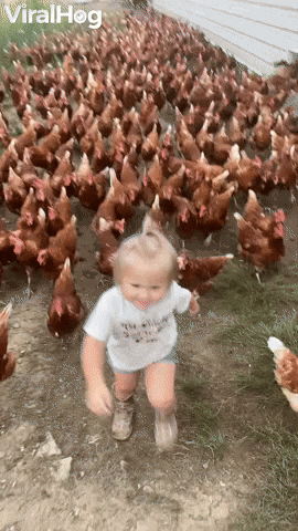 ganhar seguidores no instagram: menina loira com várias galinhas
