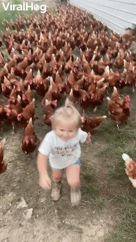 ganhar seguidores no instagram: menina loira com várias galinhas