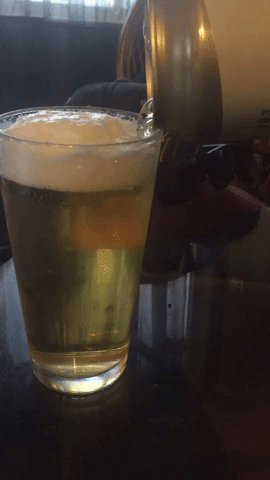 Beer GIF
