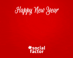 New Year Fireworks GIF by Social Factor