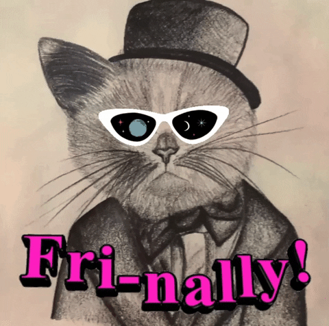 Illustrated gif. A black cat wears a tipped top hat, suit, bowtie, and white cat-eyed glasses. Inside the frames, a planet and stars turn and twinkle. Animated pink text waves below that reads, "Fri-nally!"