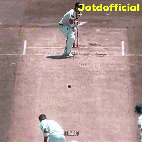 Mitchell Starc GIF