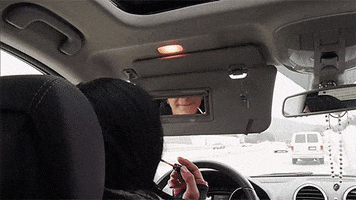 Driving Real Housewives Of New Jersey GIF