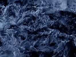 Robertsmith GIF