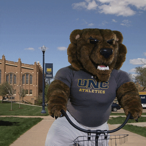 college bear GIF by University of Northern Colorado