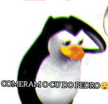 Cu Do Pedro GIF