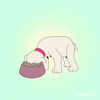 200.gif?cid=fc005b0843af2481070850a93427d6b83036a77842333e82&rid=200.gif&ct=g