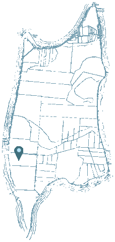 Wine Canada Sticker by Pelee Island Winery