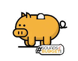 Budget Sticker by digibankindia