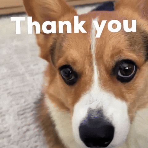 Dog Thank You GIF