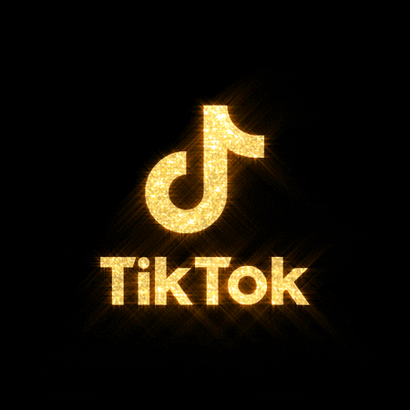 TikTok is a continuously growing platform compiled of 15-60 second videos.