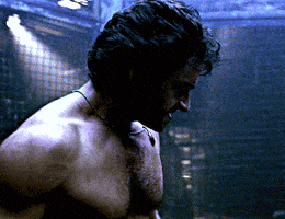Wolverine GIF