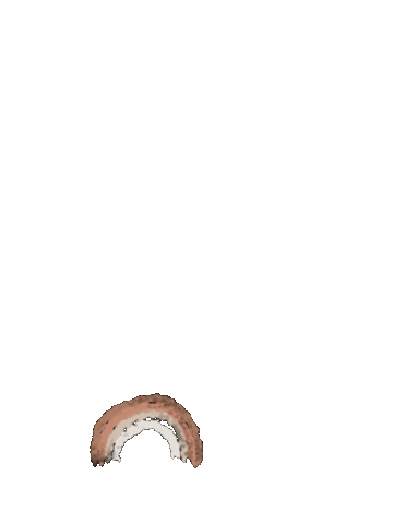 Animated Sticker