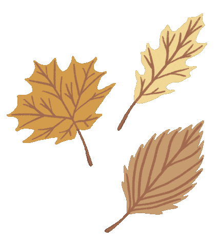 Autumn Leaves Fall Sticker