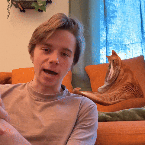 Cat Yawn GIF