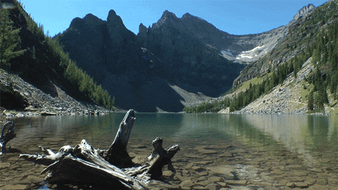 BM