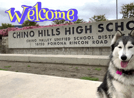 High School Dog GIF