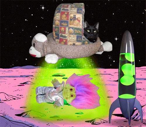 alien abduction
