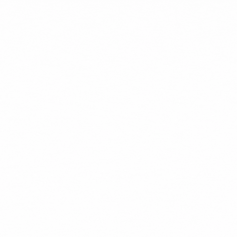 Vivamax GIF