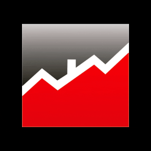 Raes Inversiones GIF